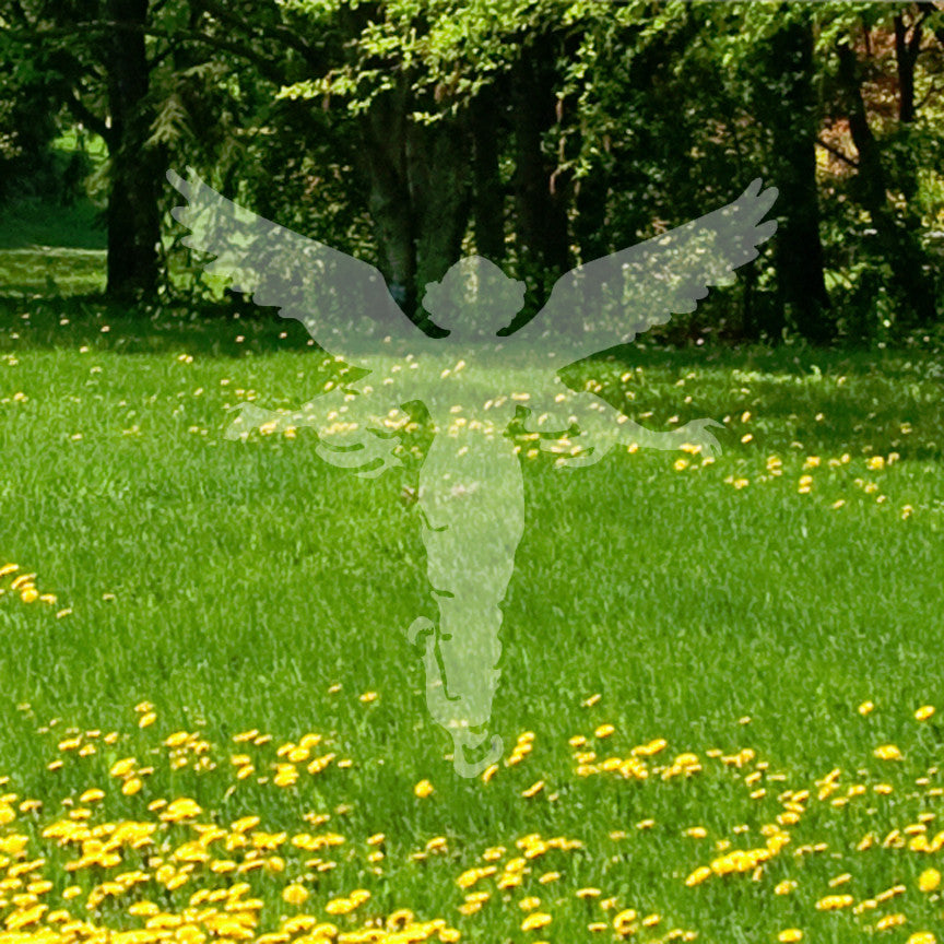 Angel Halo Wings