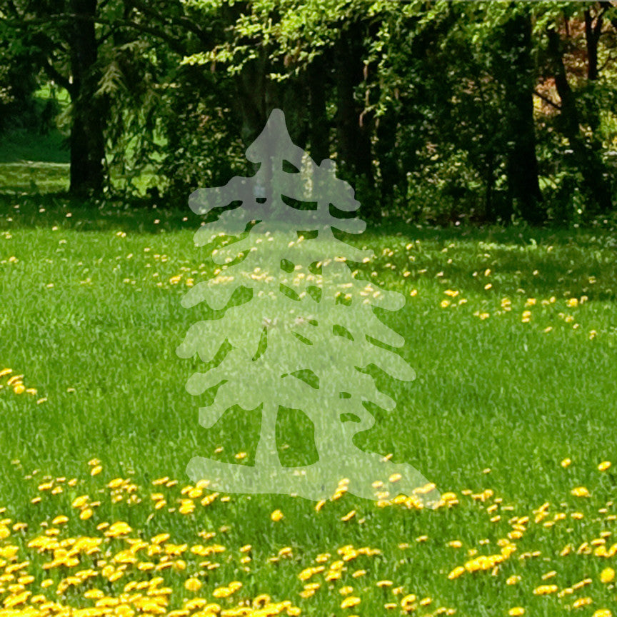 Pine Trees Art Drawing