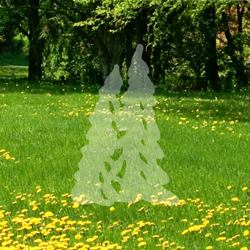 Trees Pine Drawing Art