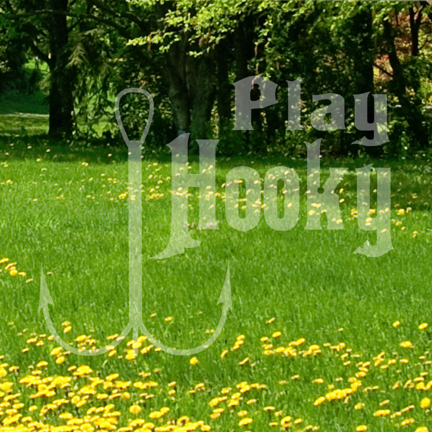 Play Hooky Fishing Fish