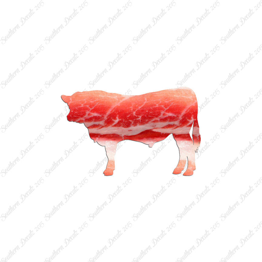 Angus Cow Cattle