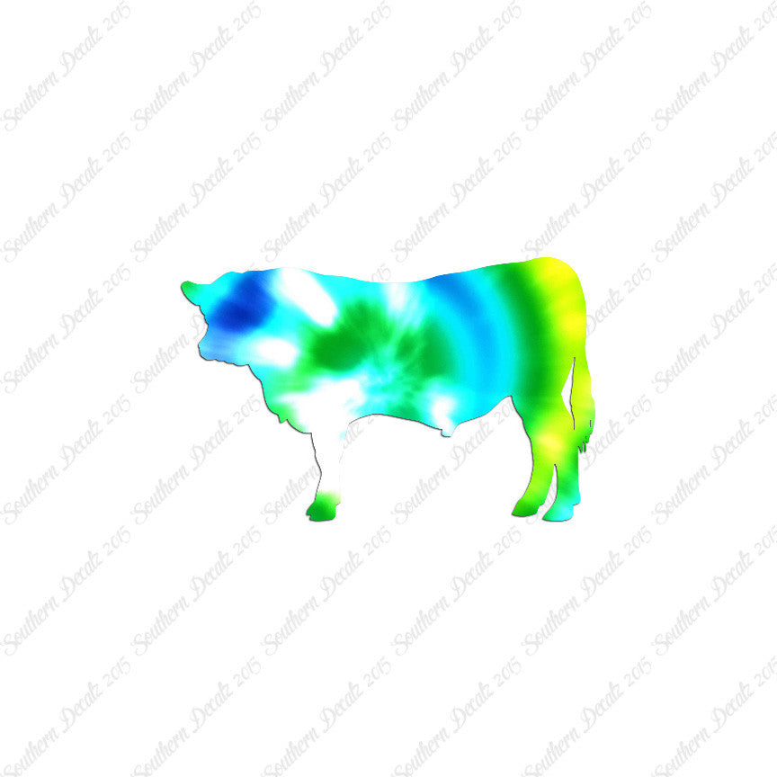 Angus Cow Cattle