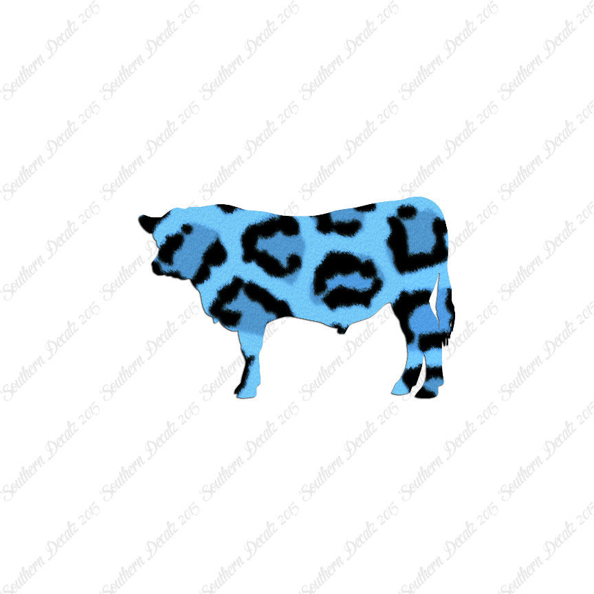 Angus Cow Cattle