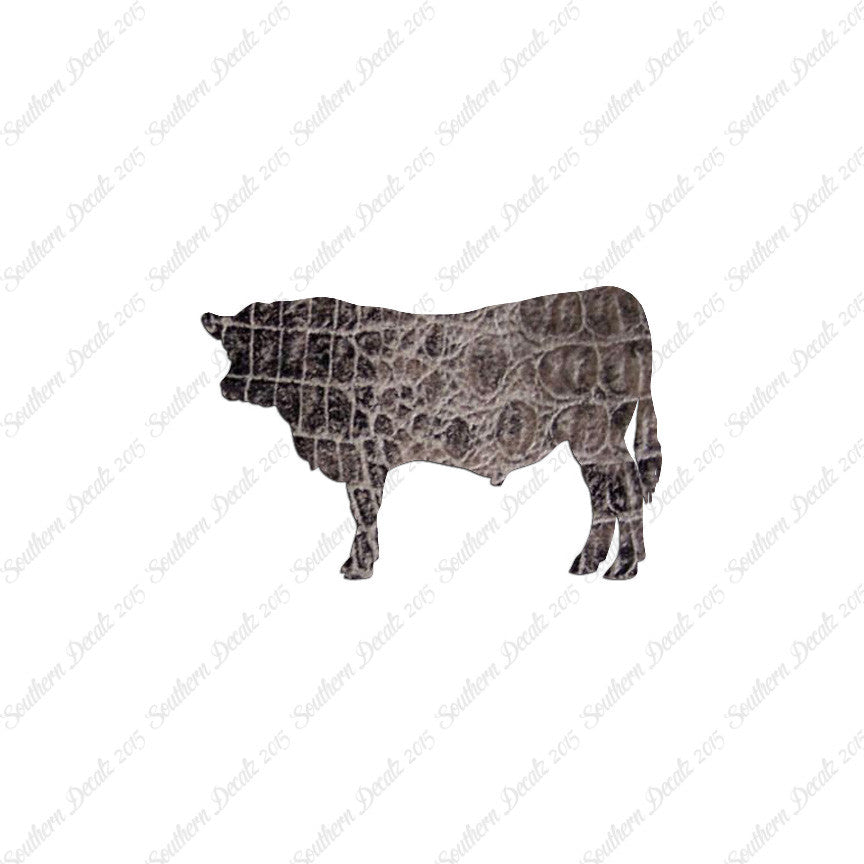 Angus Cow Cattle