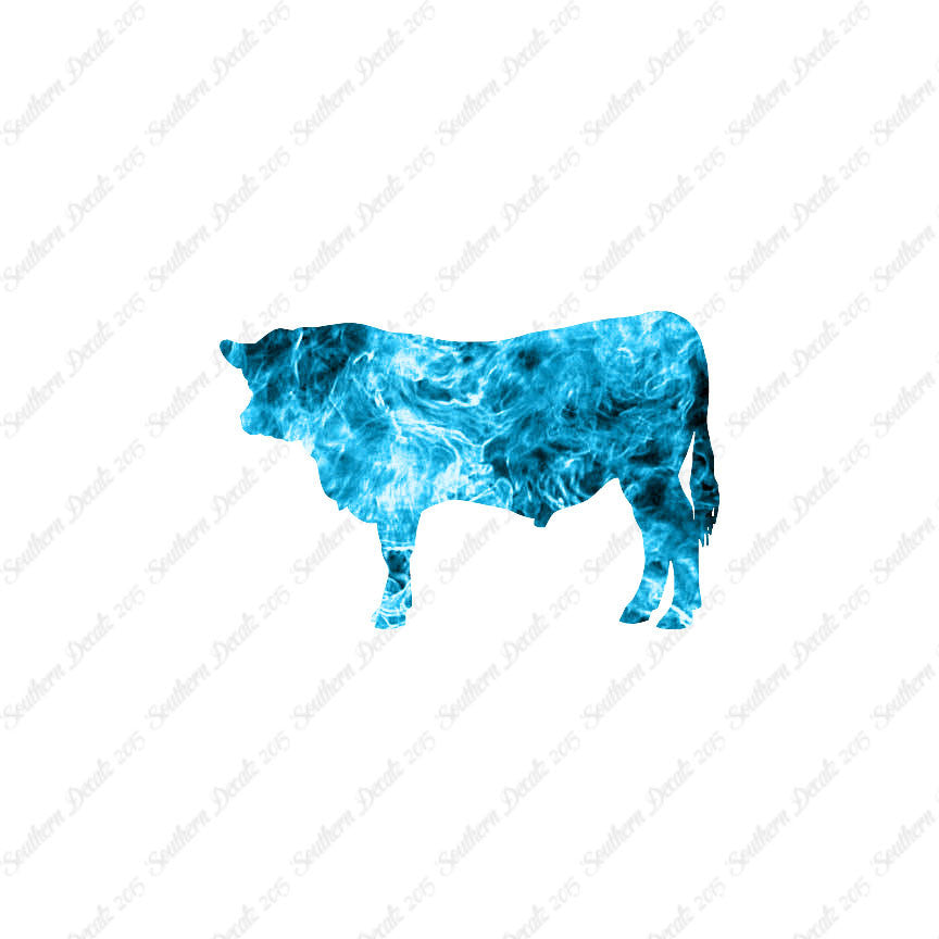 Angus Cow Cattle