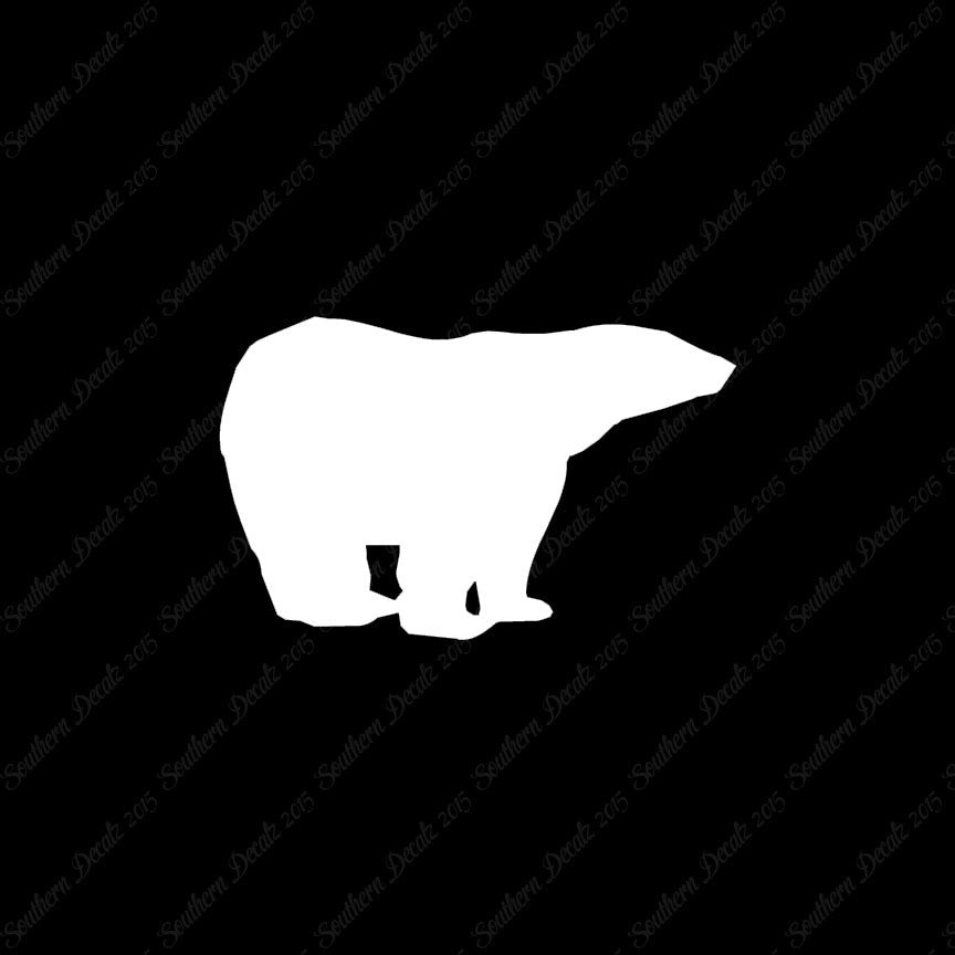 Polar Bear