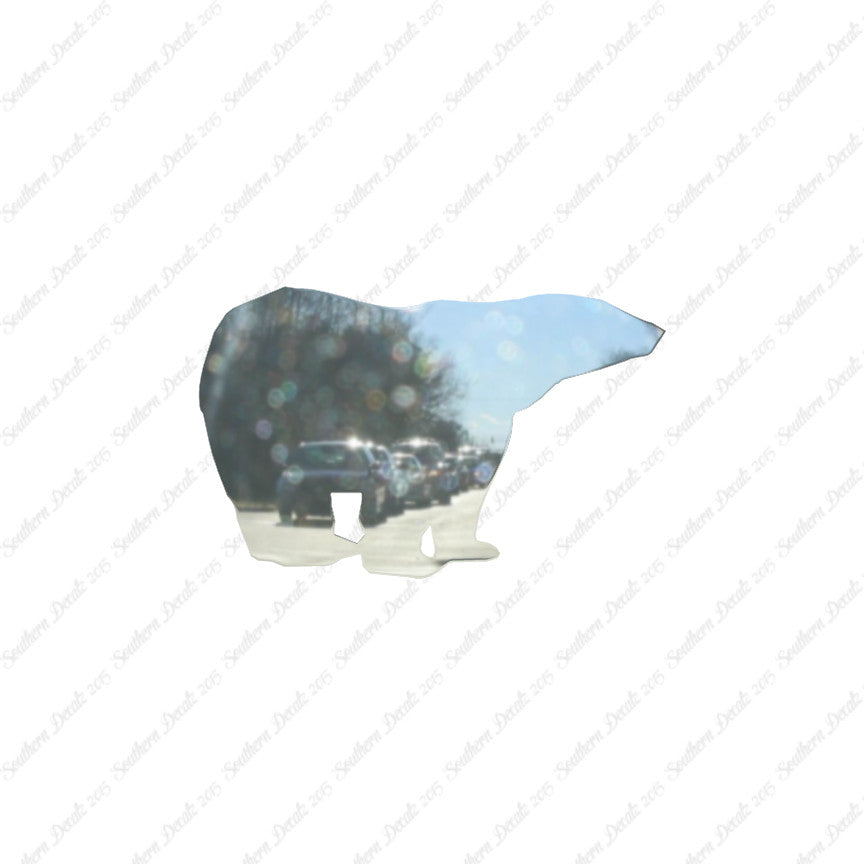 Polar Bear