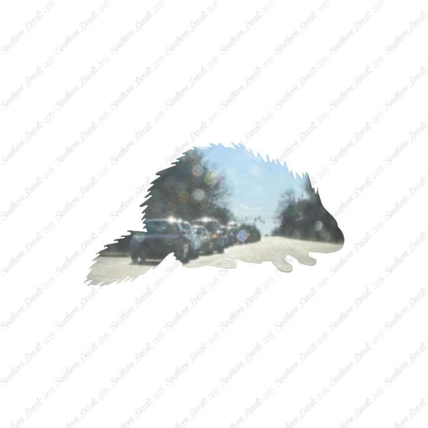 Porcupine Beaver