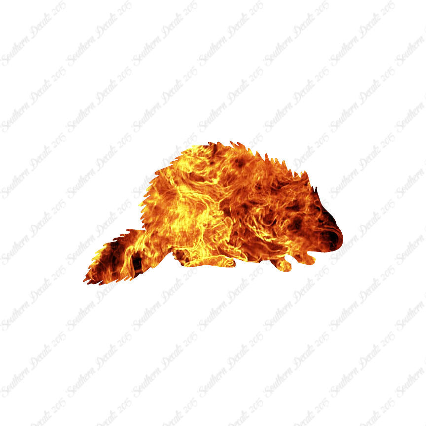 Porcupine Beaver