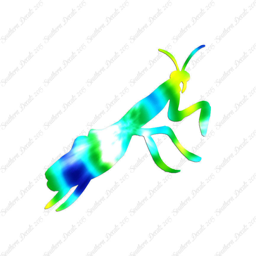 Praying Mantis Insect