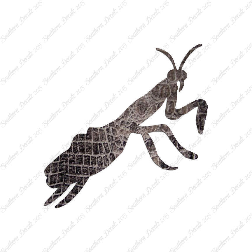 Praying Mantis Insect