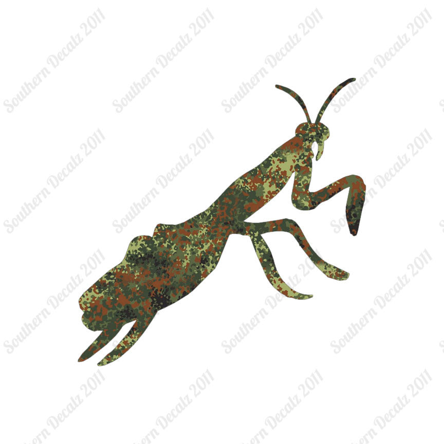 Praying Mantis Insect