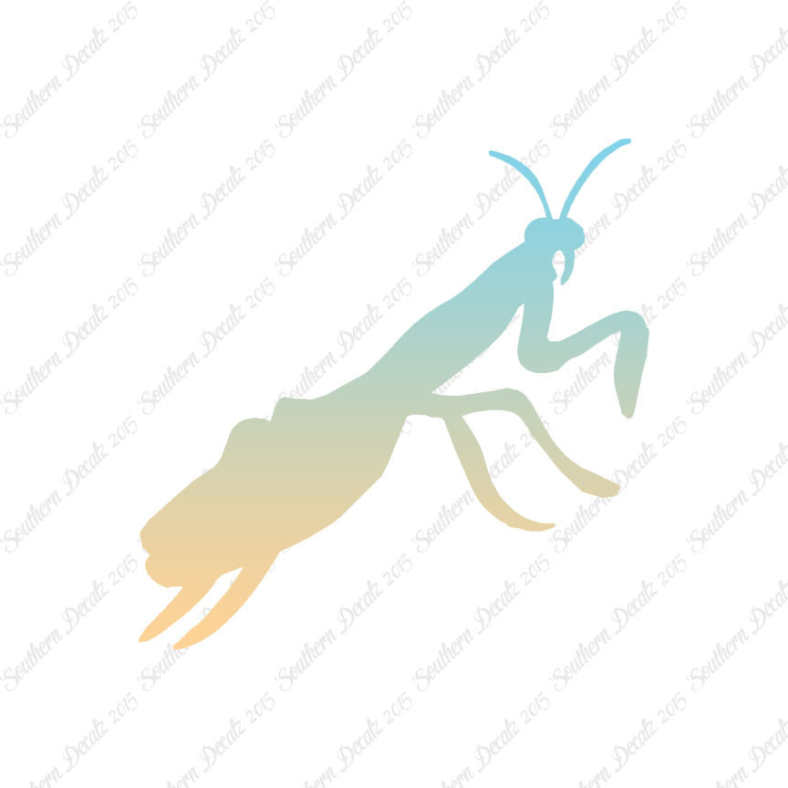 Praying Mantis Insect