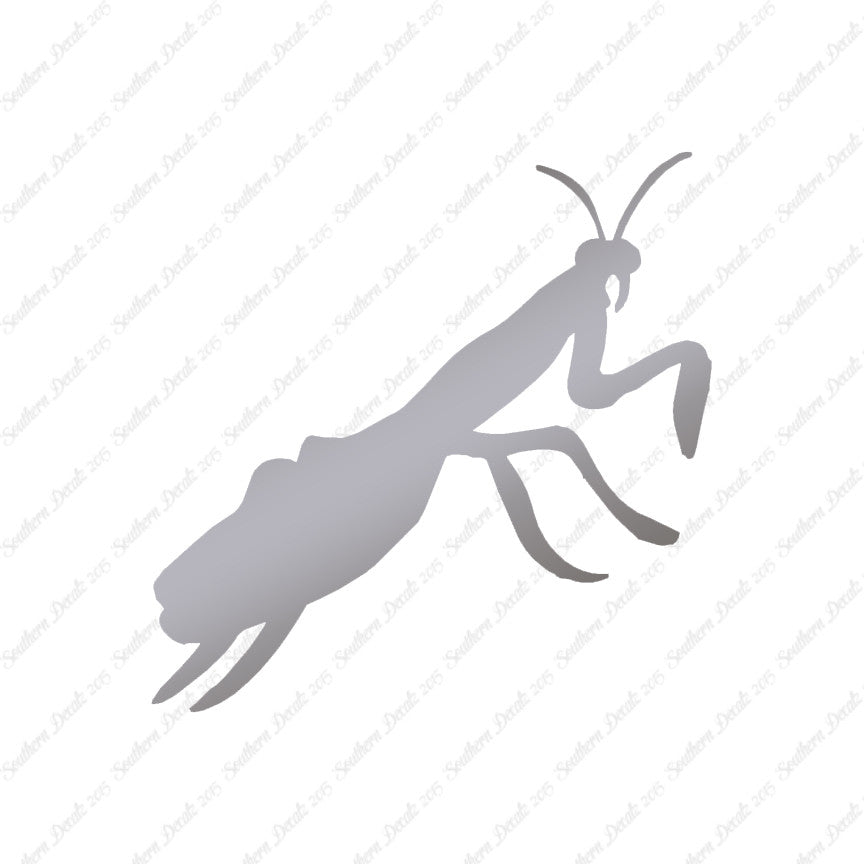 Praying Mantis Insect