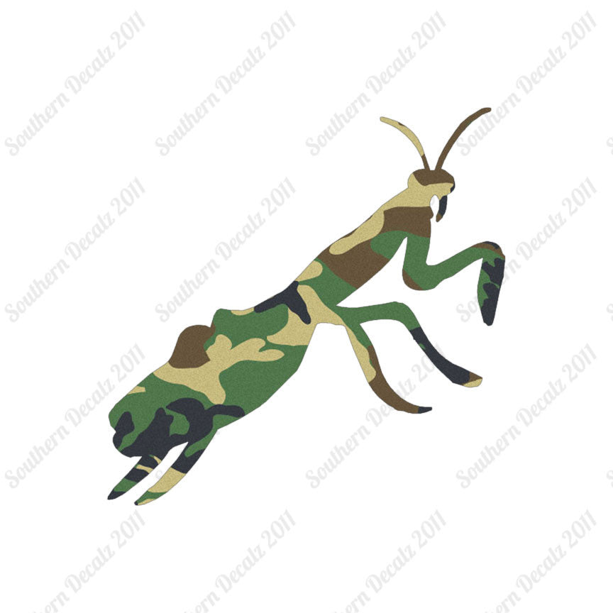 Praying Mantis Insect
