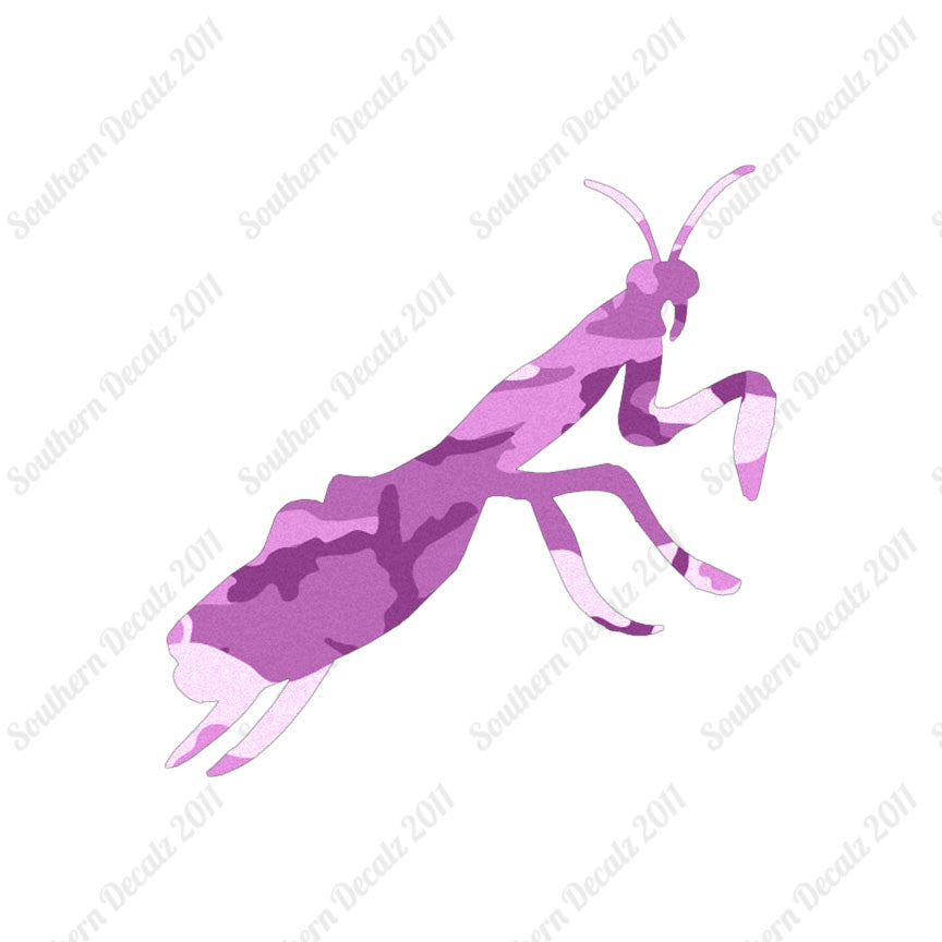 Praying Mantis Insect