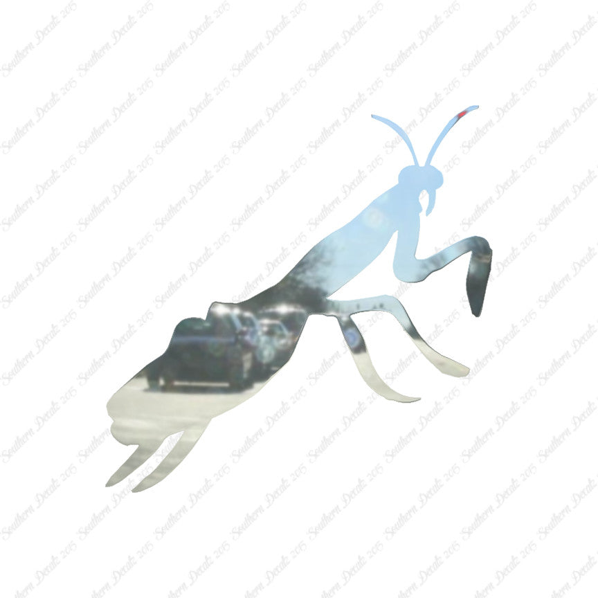 Praying Mantis Insect