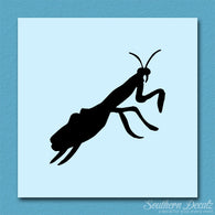 Praying Mantis Insect