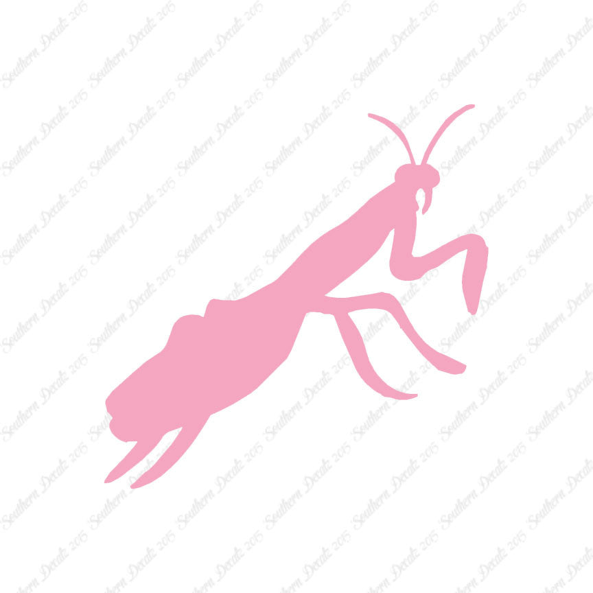 Praying Mantis Insect