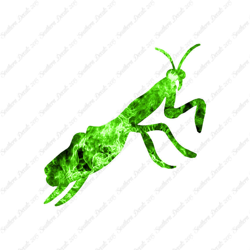 Praying Mantis Insect