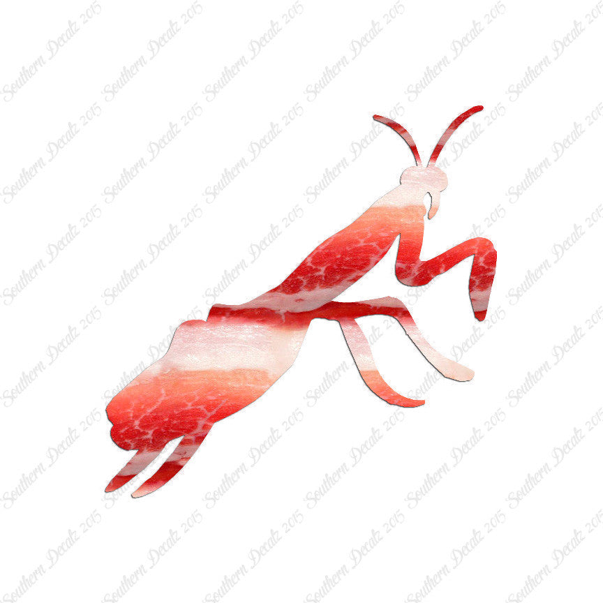 Praying Mantis Insect