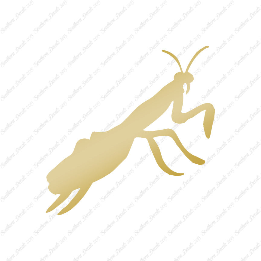 Praying Mantis Insect