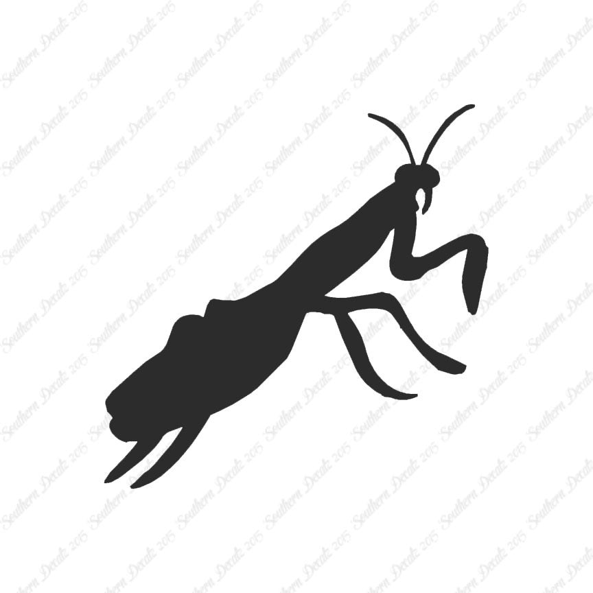 Praying Mantis Insect