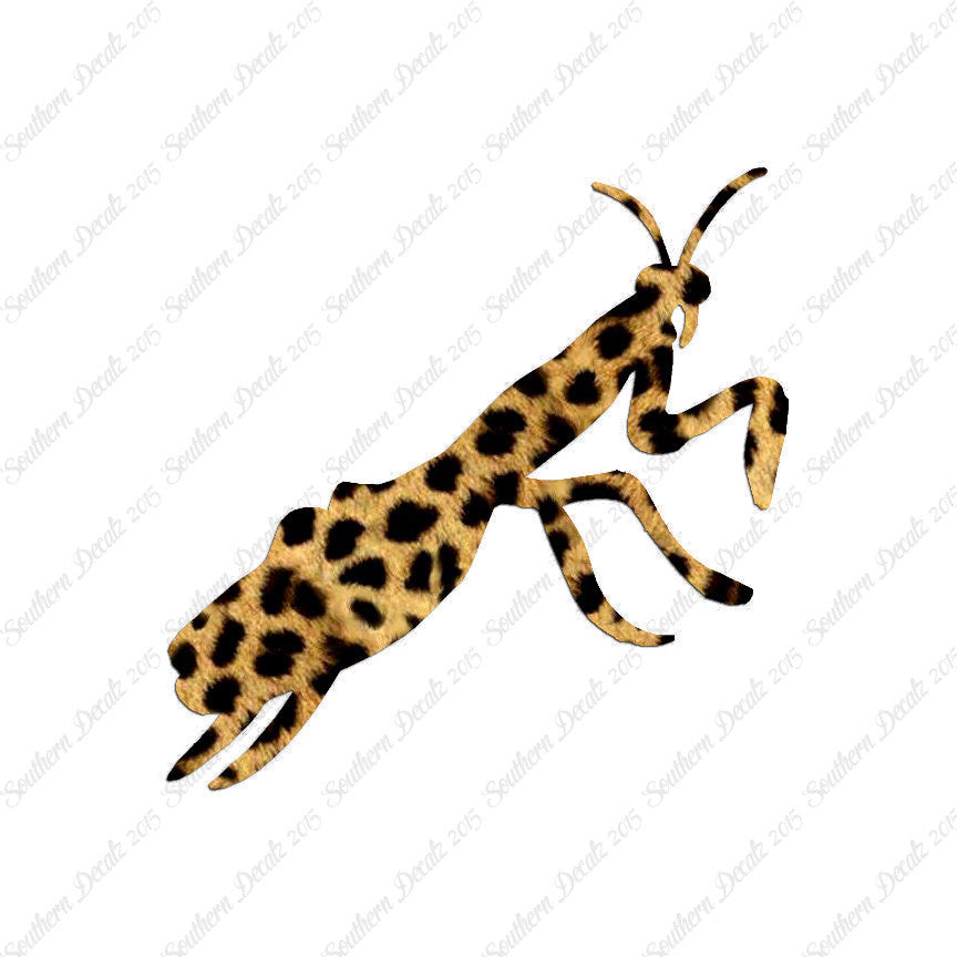 Praying Mantis Insect