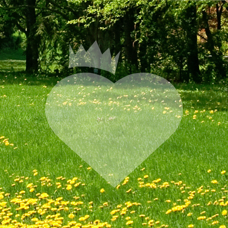 Princess Heart Crown