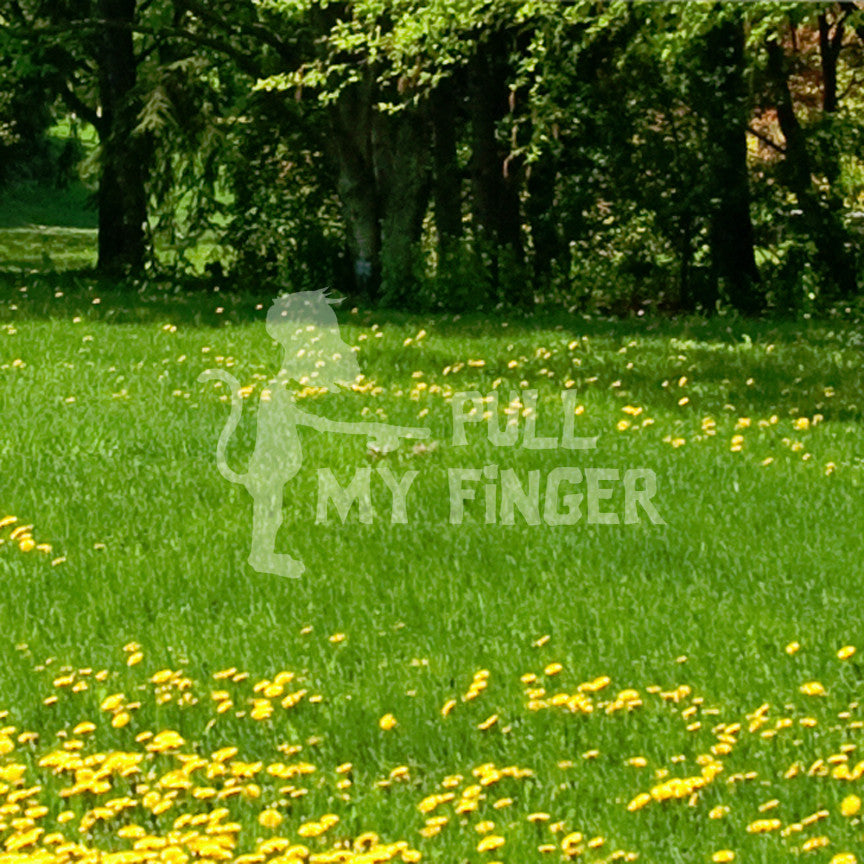 Pull My Finger Monkey