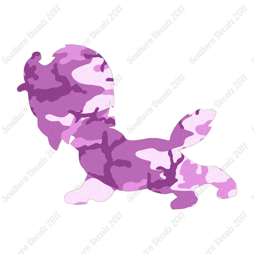 Cute Puppy