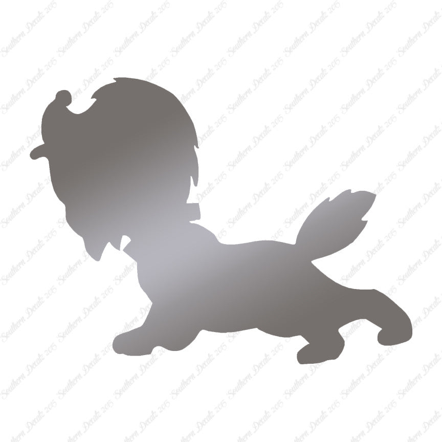 Cute Puppy