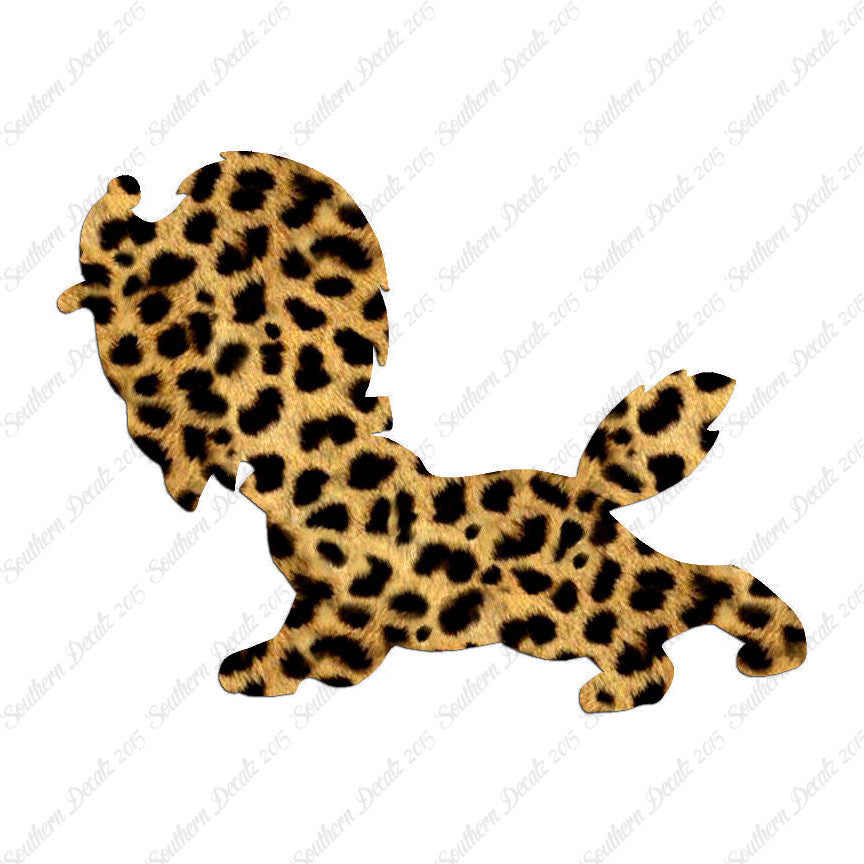 Cute Puppy
