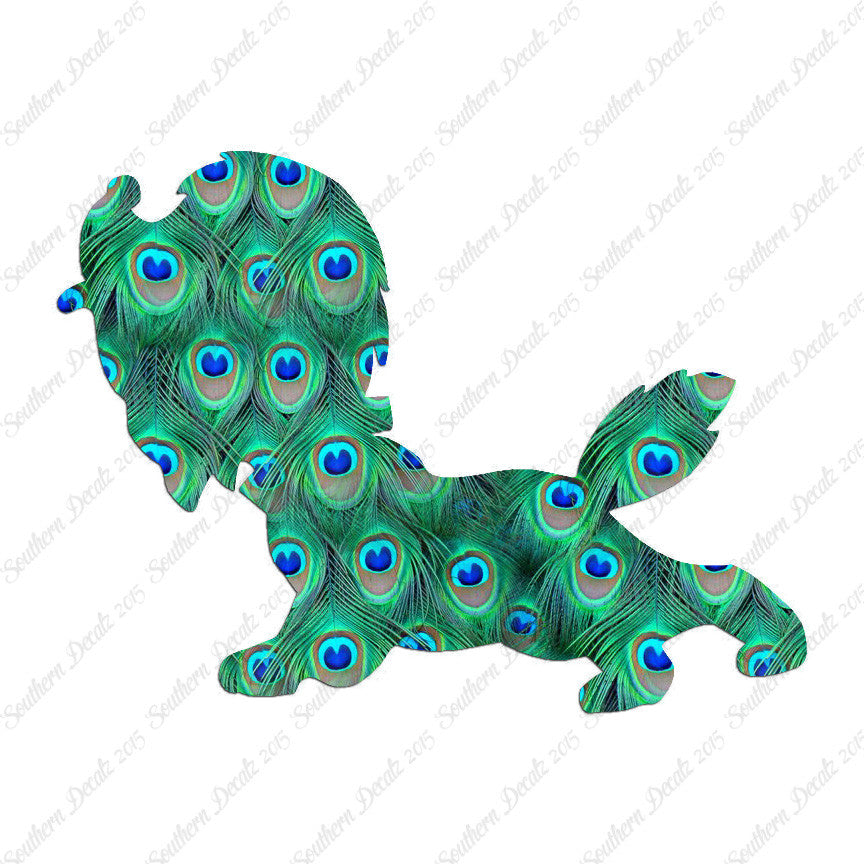 Cute Puppy