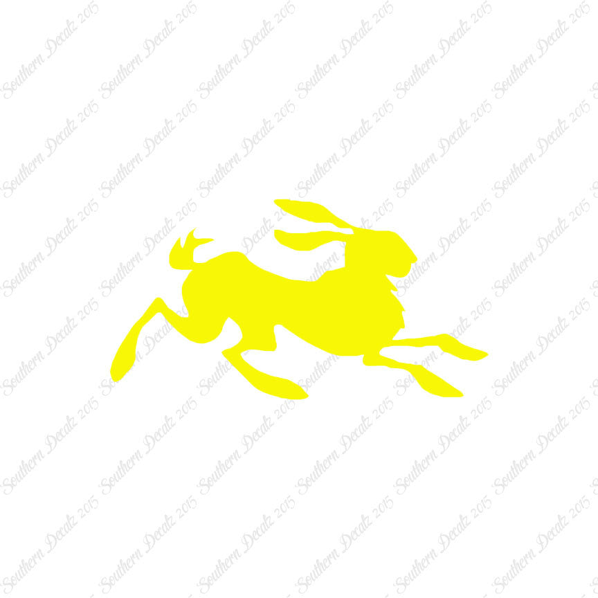 Rabbit Jackrabbit Bunny
