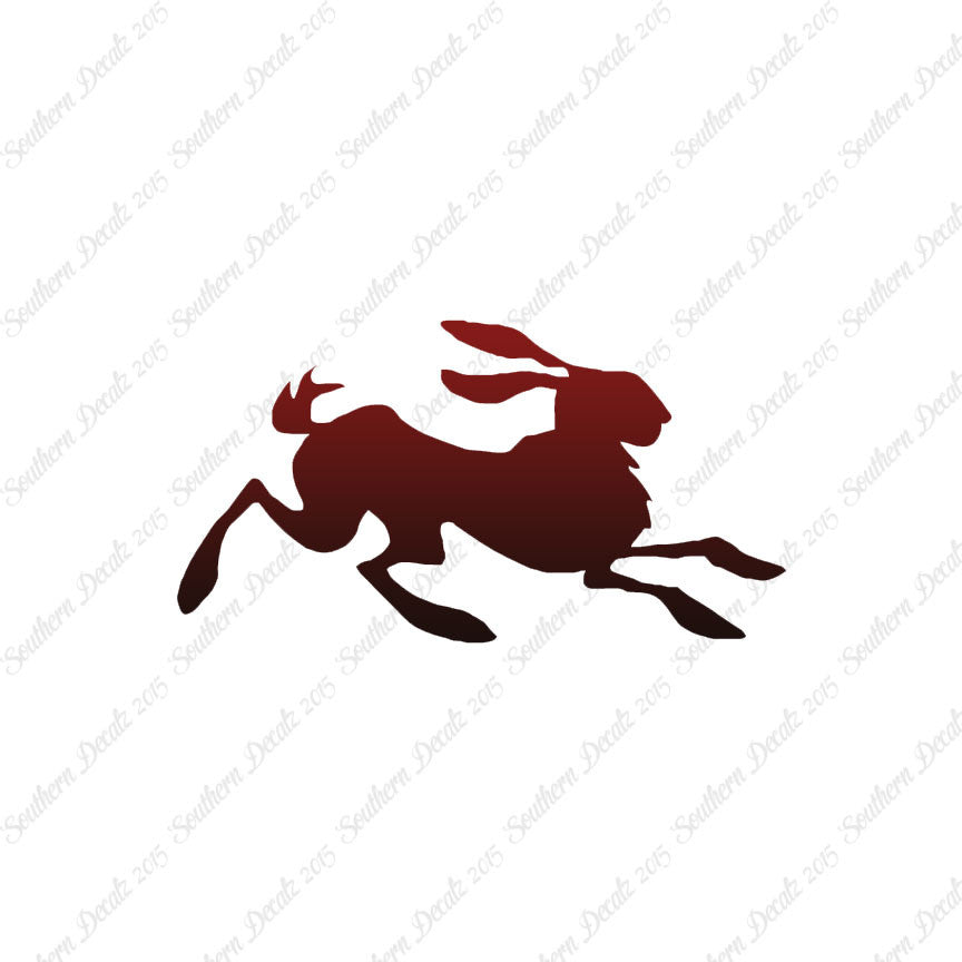Rabbit Jackrabbit Bunny