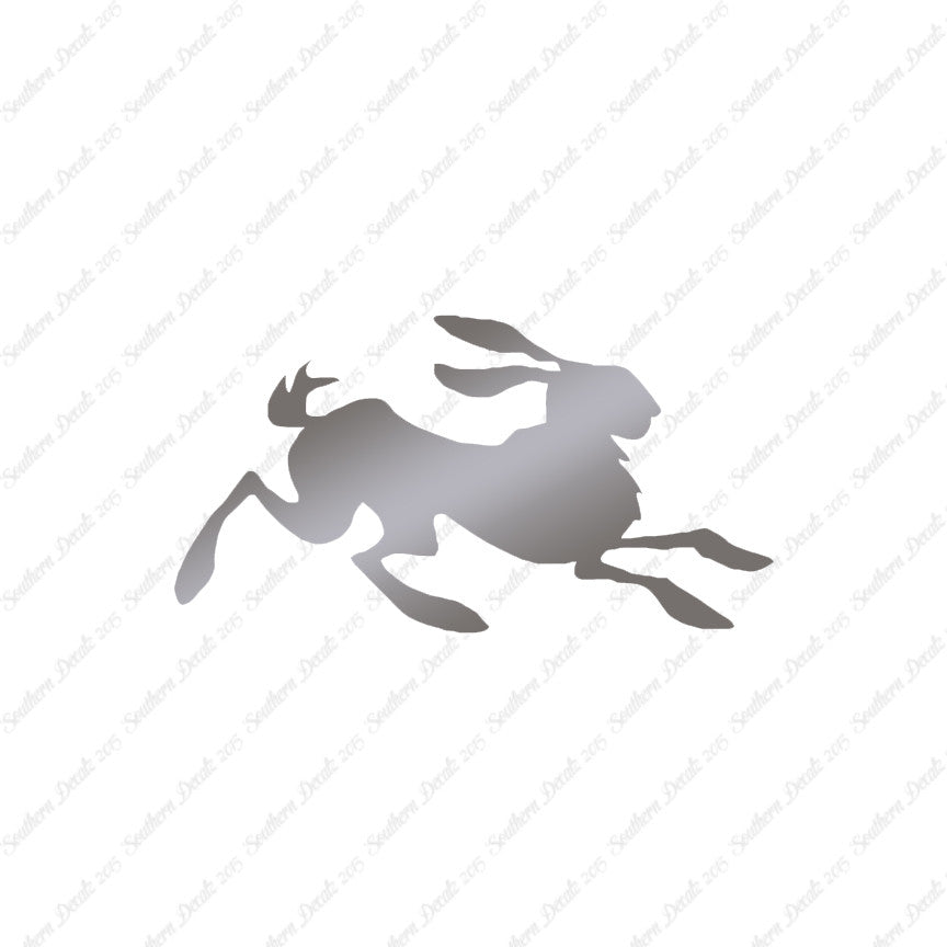 Rabbit Jackrabbit Bunny