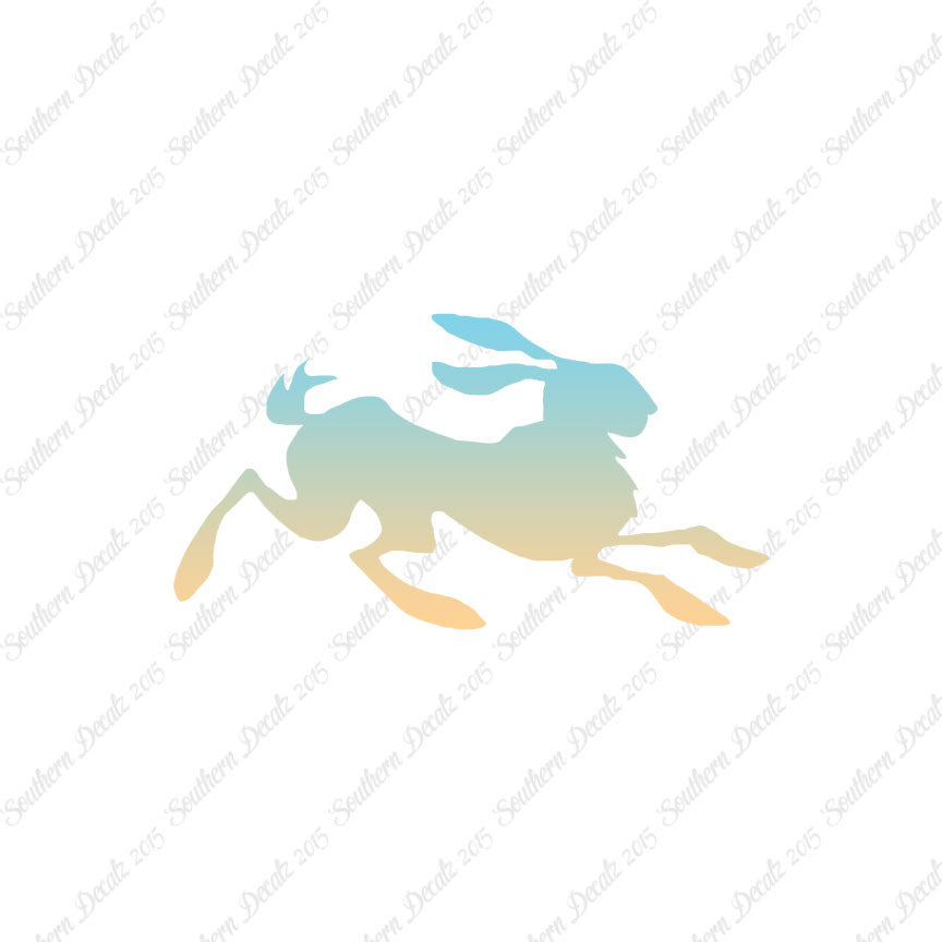 Rabbit Jackrabbit Bunny