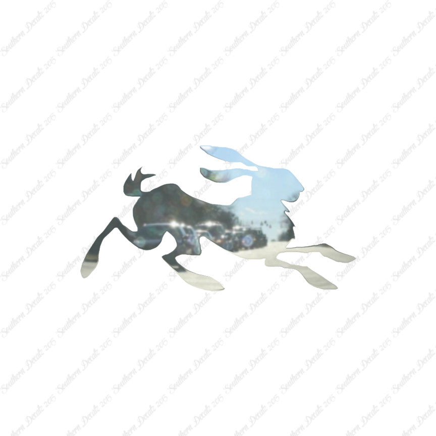 Rabbit Jackrabbit Bunny