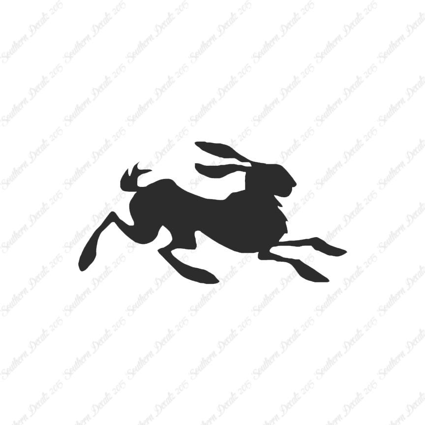 Rabbit Jackrabbit Bunny