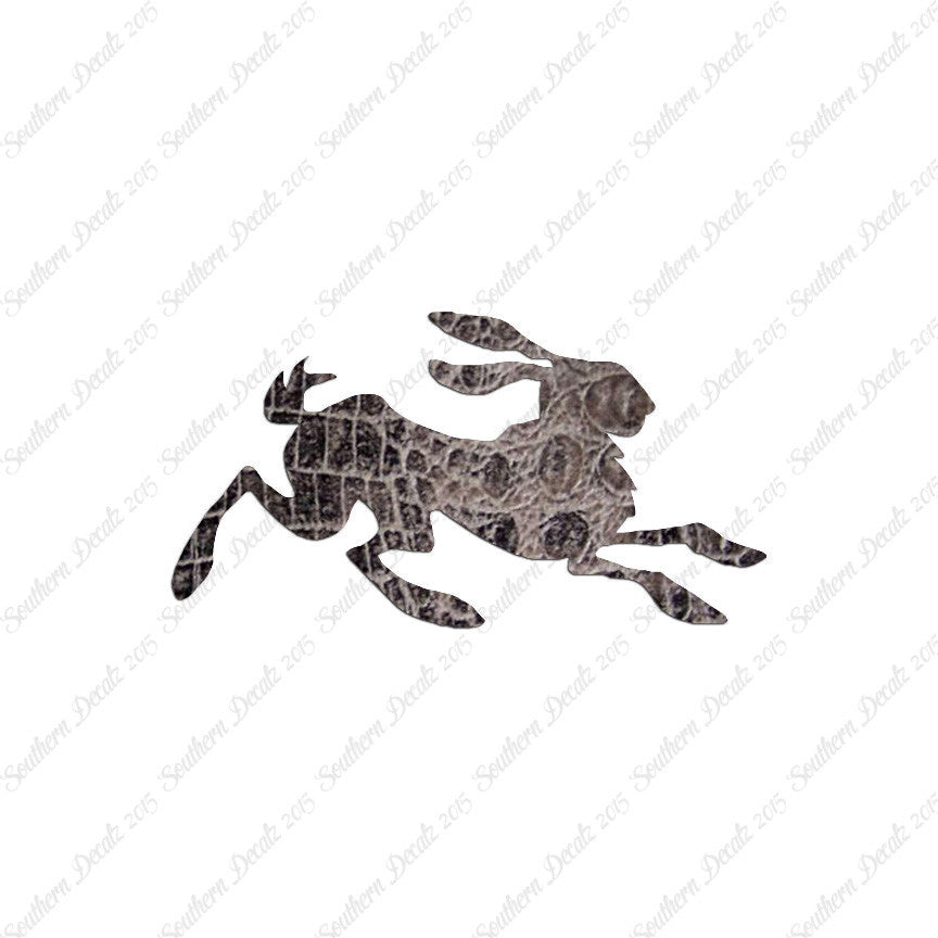 Rabbit Jackrabbit Bunny