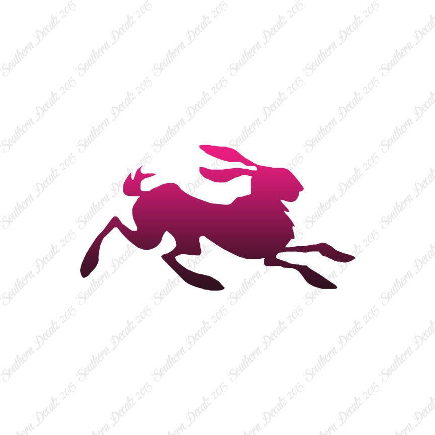 Rabbit Jackrabbit Bunny