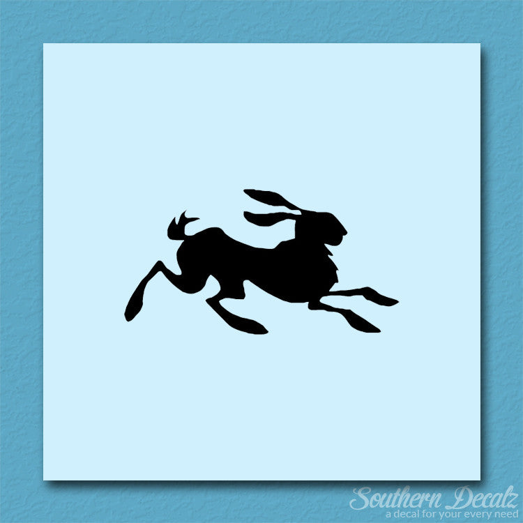 Rabbit Jackrabbit Bunny