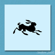 Rabbit Jackrabbit Bunny