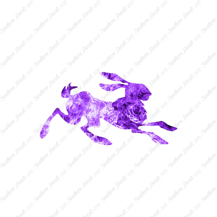 Rabbit Jackrabbit Bunny