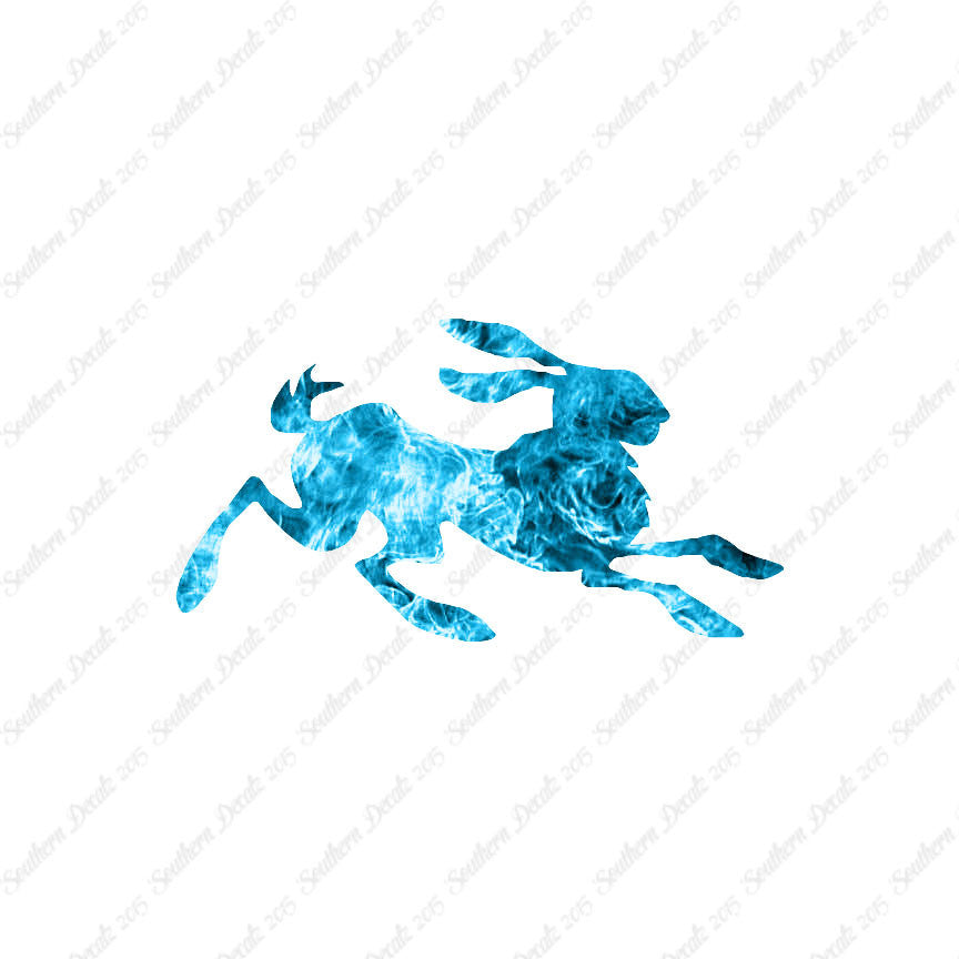 Rabbit Jackrabbit Bunny