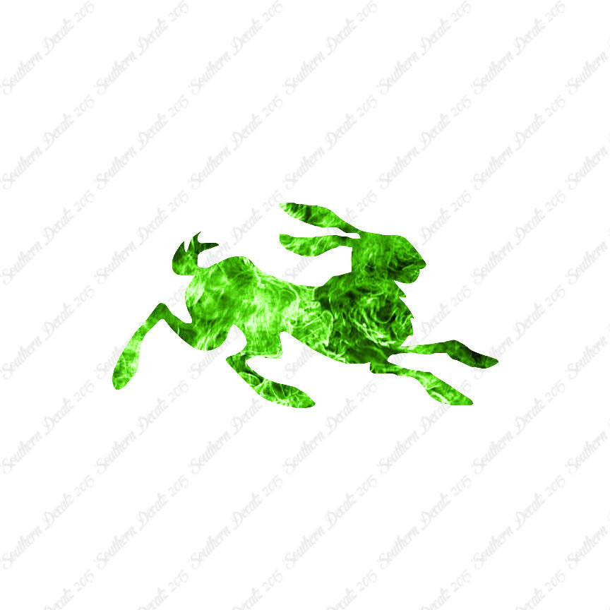 Rabbit Jackrabbit Bunny