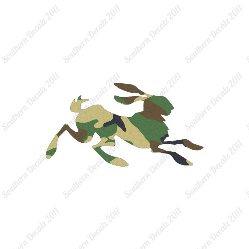 Rabbit Jackrabbit Bunny