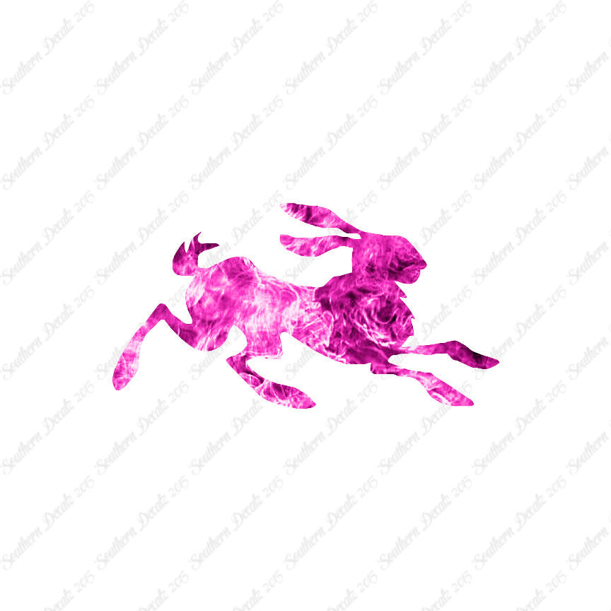 Rabbit Jackrabbit Bunny