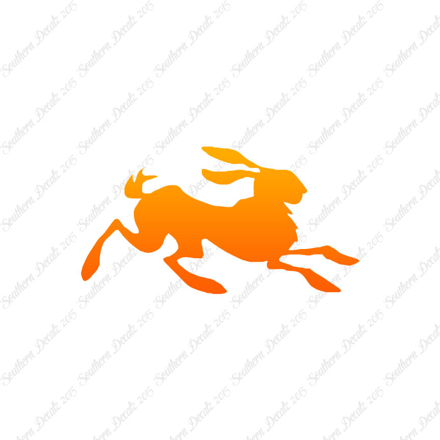 Rabbit Jackrabbit Bunny